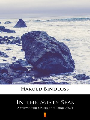 cover image of In the Misty Seas